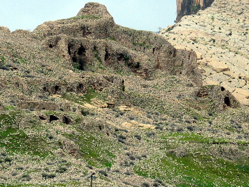 نمای قلعه دختر در همسایگی شهر بیشاپور 