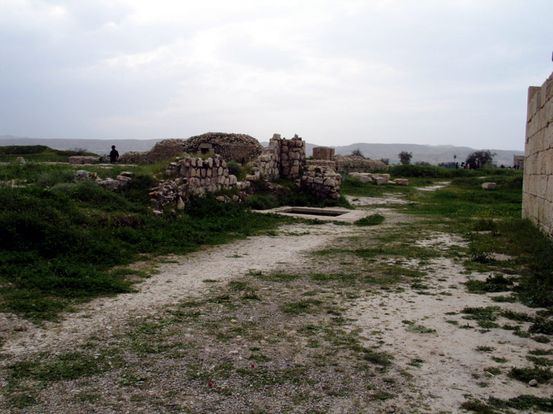 دیواریكی از كاخهای بیشاپور 