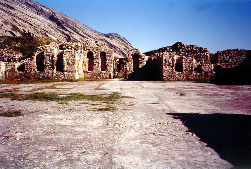 ز كاخ موزاییك بیشاپور