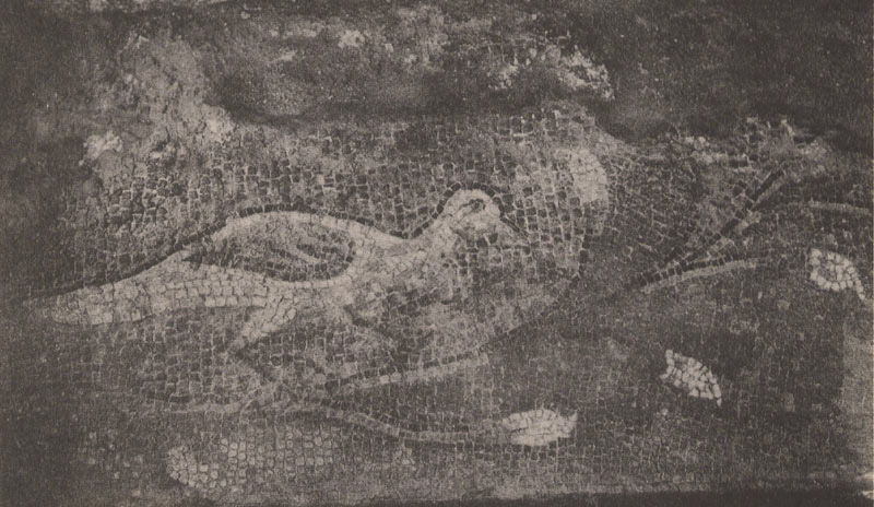 موزاییكهای تالار موزاییك  بیشاپور