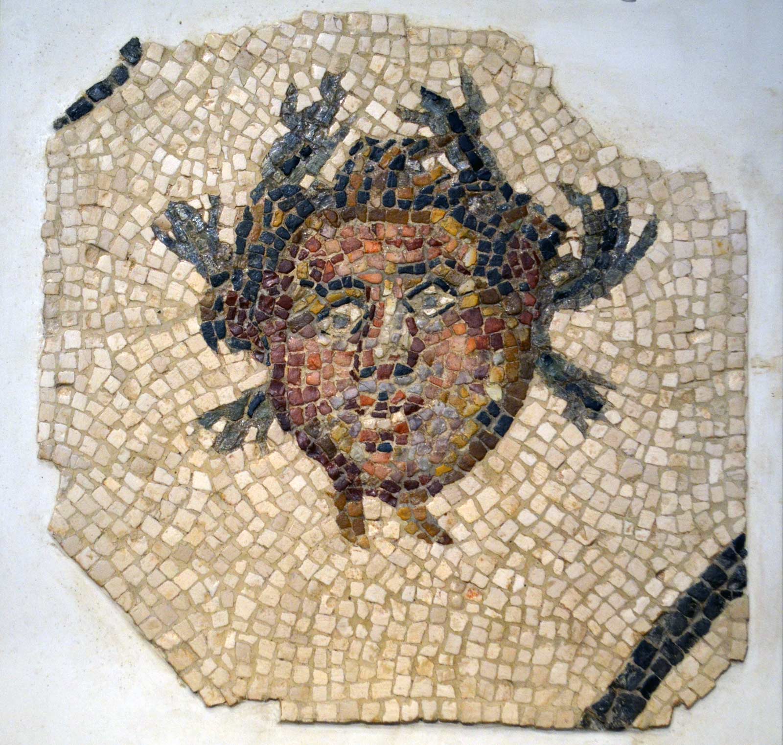 موزاییک های بیشاپور