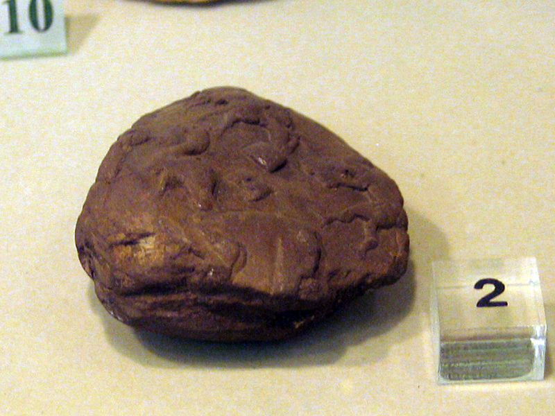 هنر ایلامیان