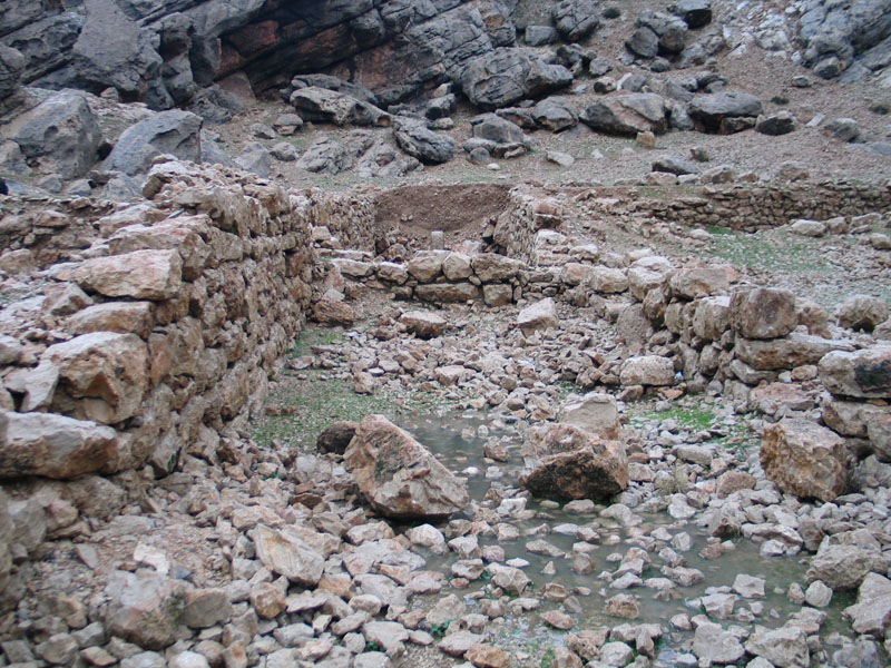 خونگ اژدر 
