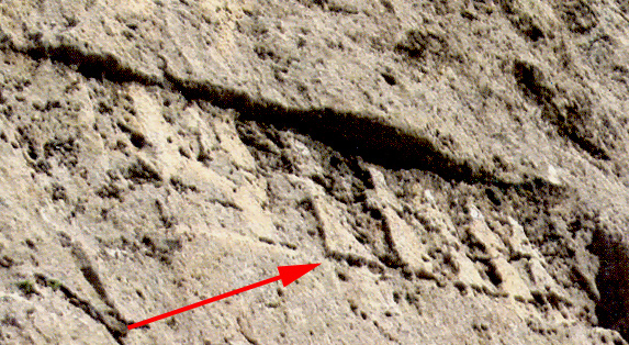 نقش برجسته شهسوار 