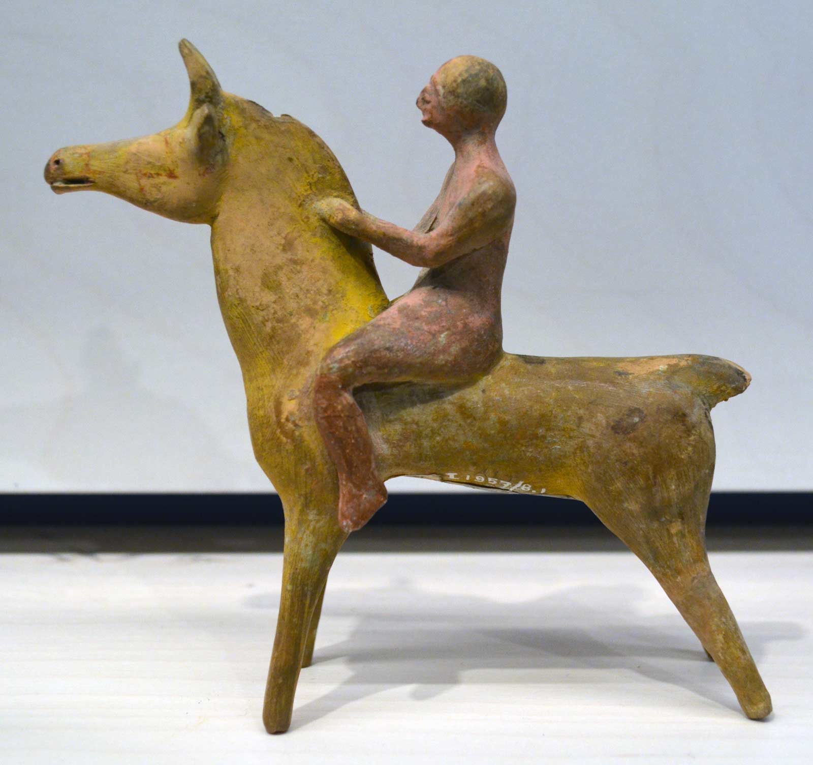 میمون سوار بر اسب