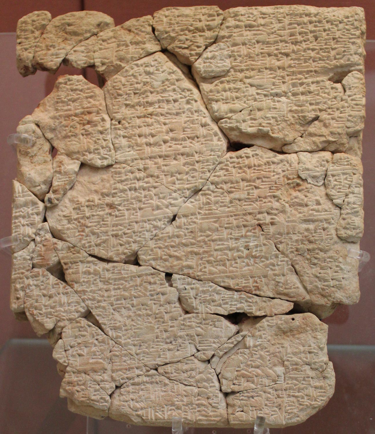 شرح پرندگان