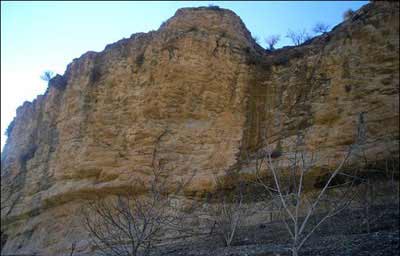 گل گل ملكشاهی