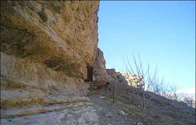 گل گل ملكشاهی