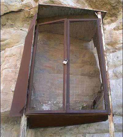 گل گل ملكشاهی