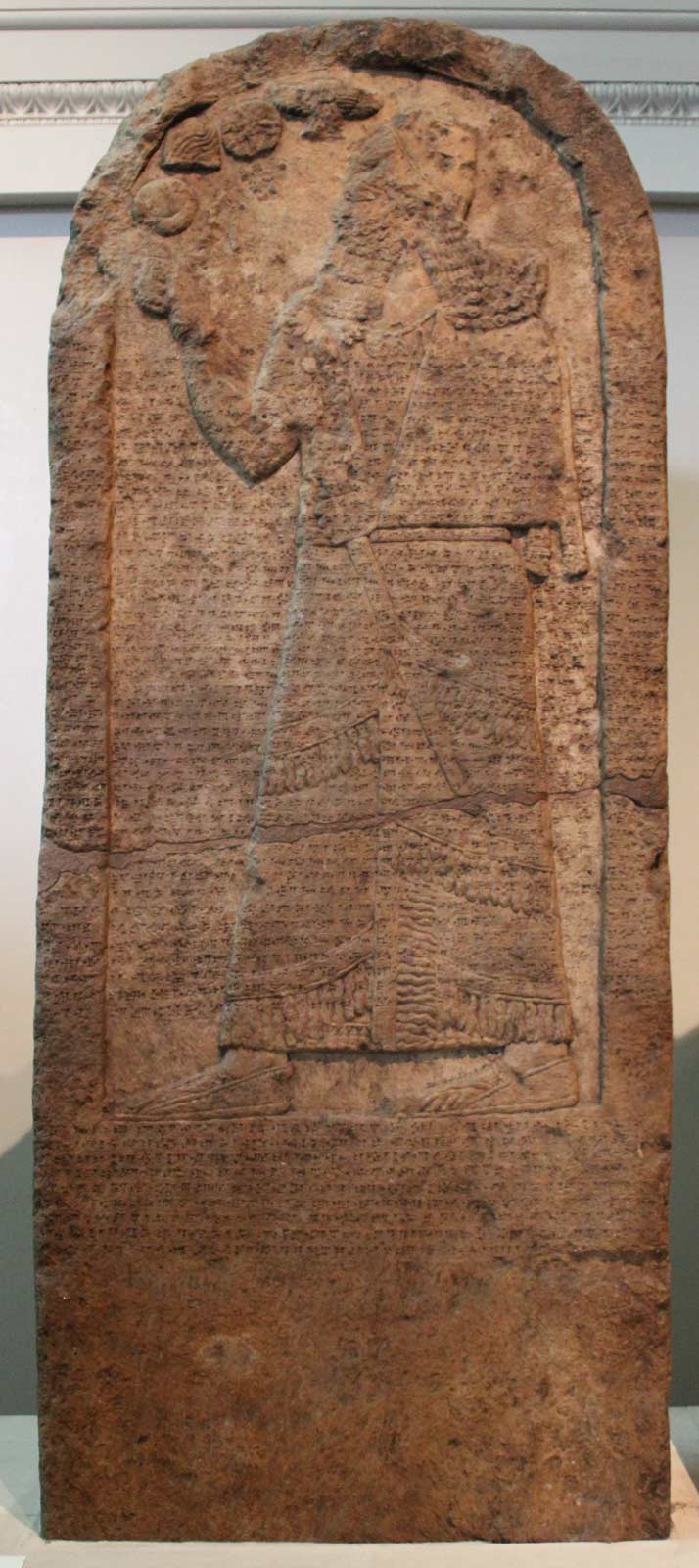 استل کورخ