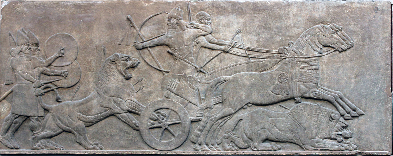 شکار شیر - نمرود