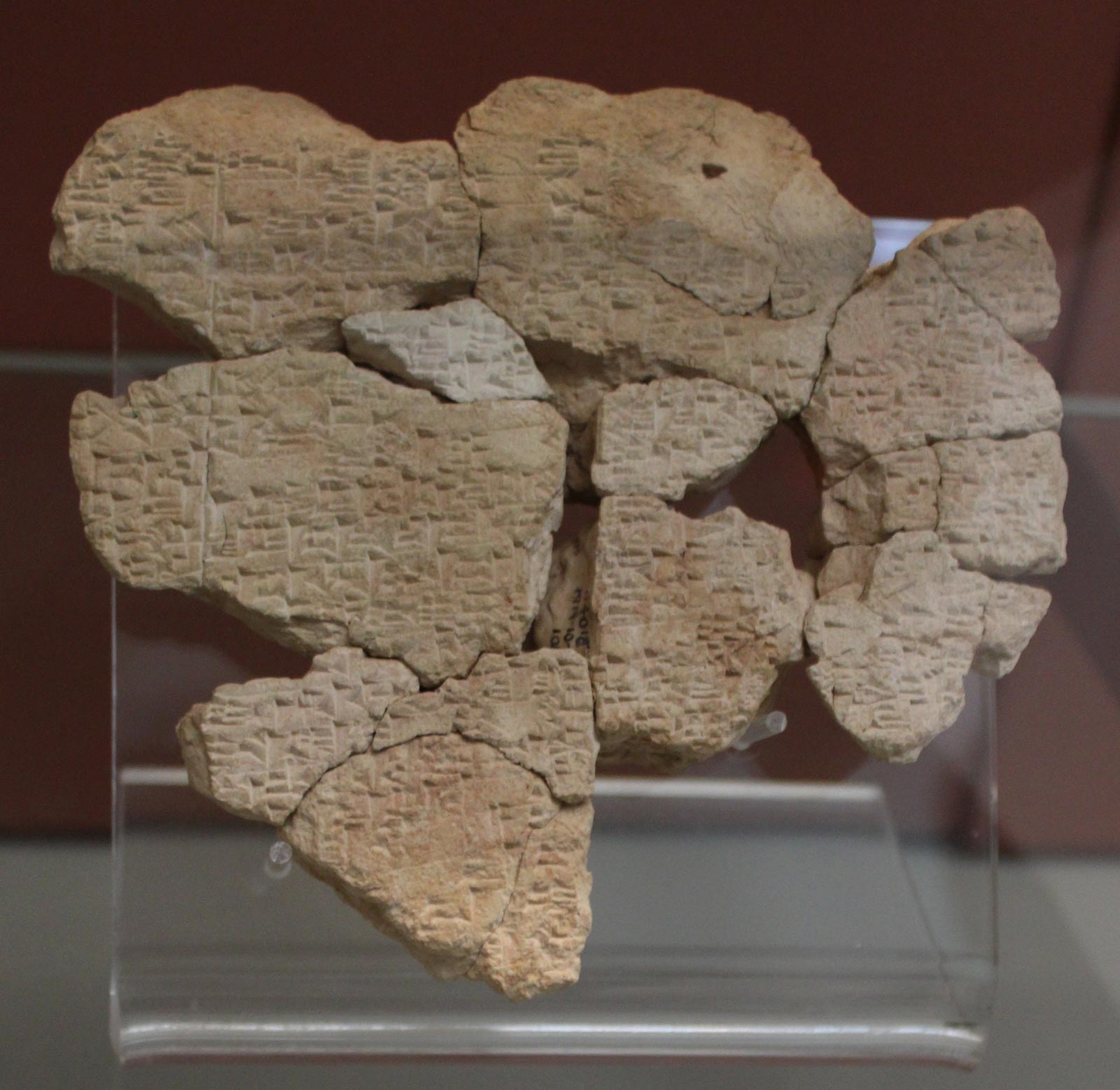 لوح گلی در مورد بیماری پوستی