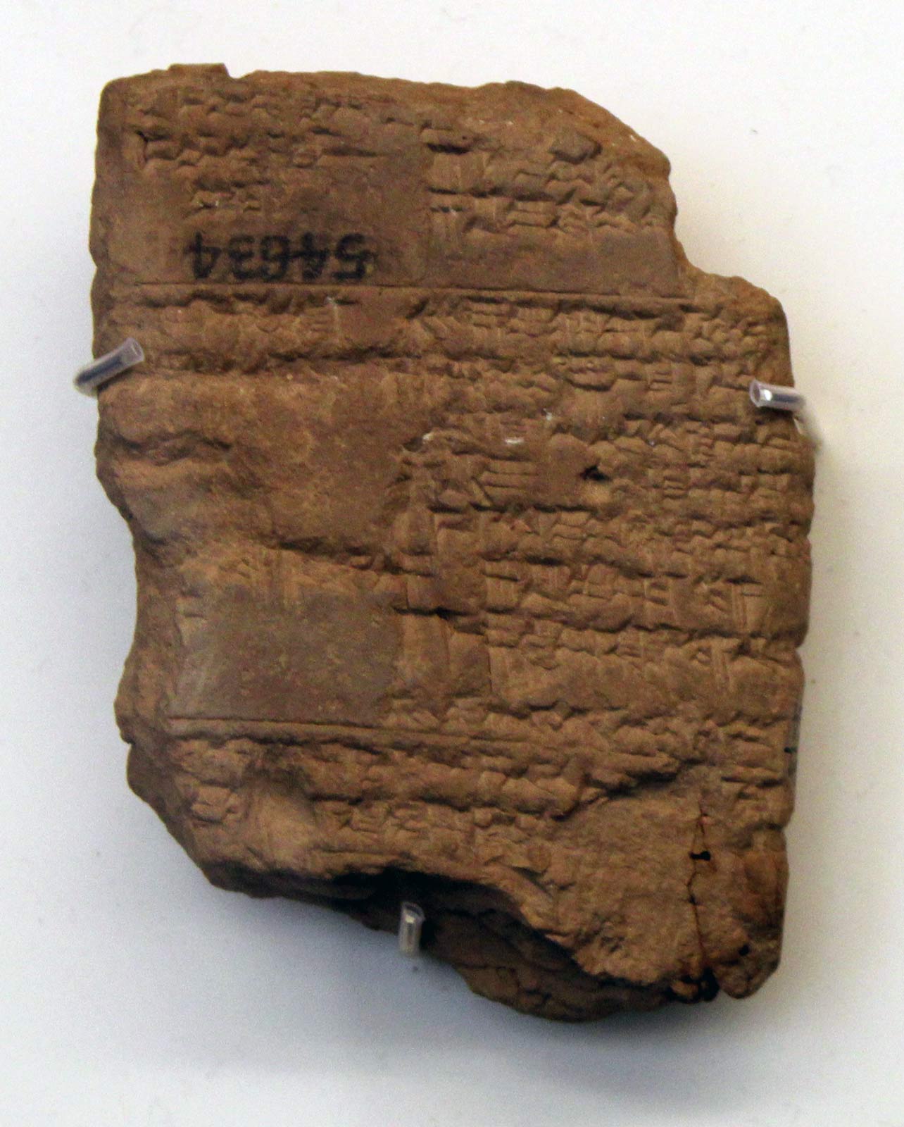 نبوکدنصر دوم