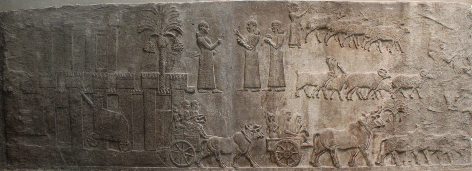 کمپ آشوری