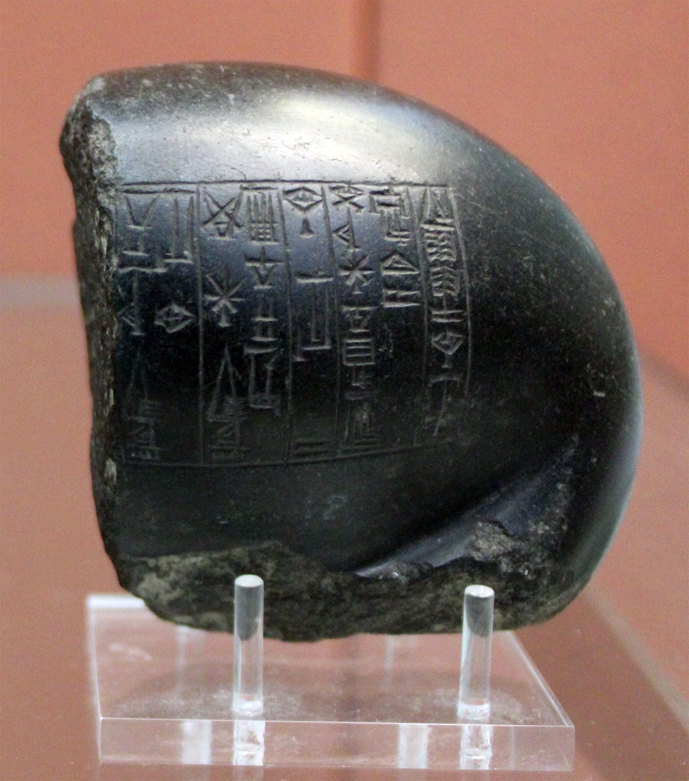 شرح پرندگان