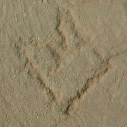 امضای سازندگان