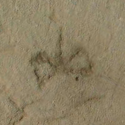 امضای سازندگان