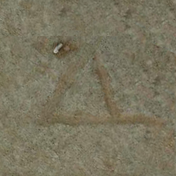 امضای سازندگان