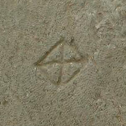 امضای سازندگان