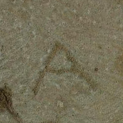 امضای سازندگان