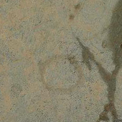 امضای سازندگان