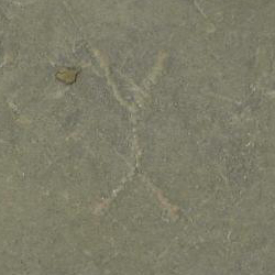 امضای سازندگان