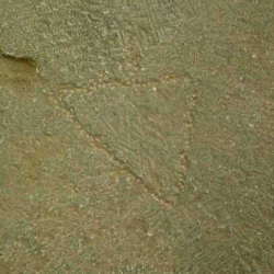 امضای سازندگان