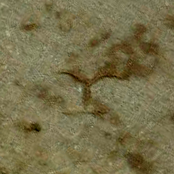 امضای سازندگان