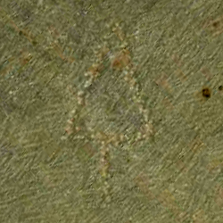 امضای سازندگان