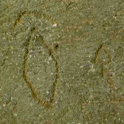 امضای سازندگان