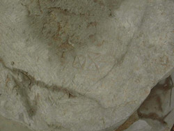 امضای سازندگان