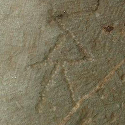 امضای سازندگان