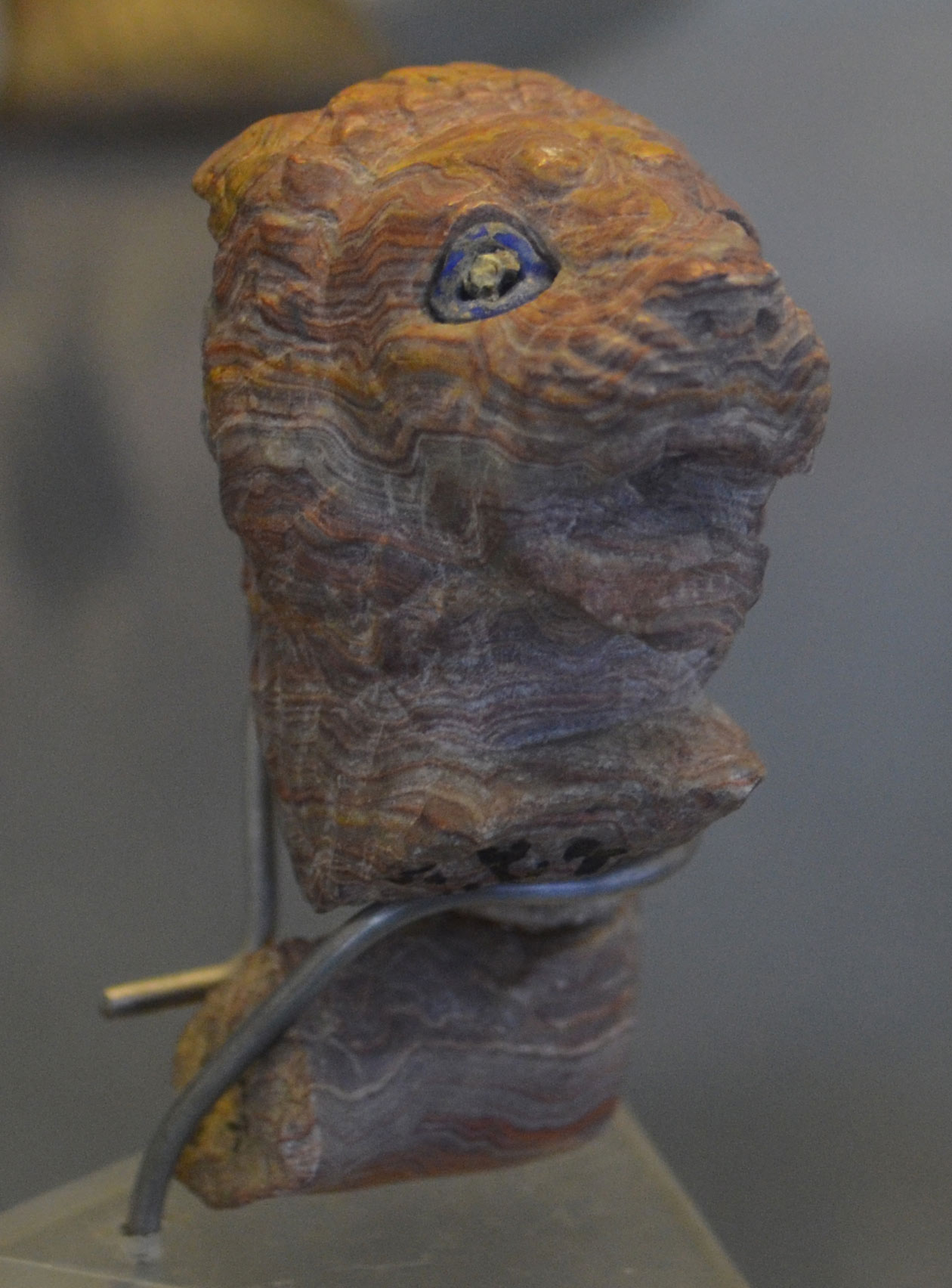 سر شیر سنگی- تخت جمشید – موزه ملی ایران