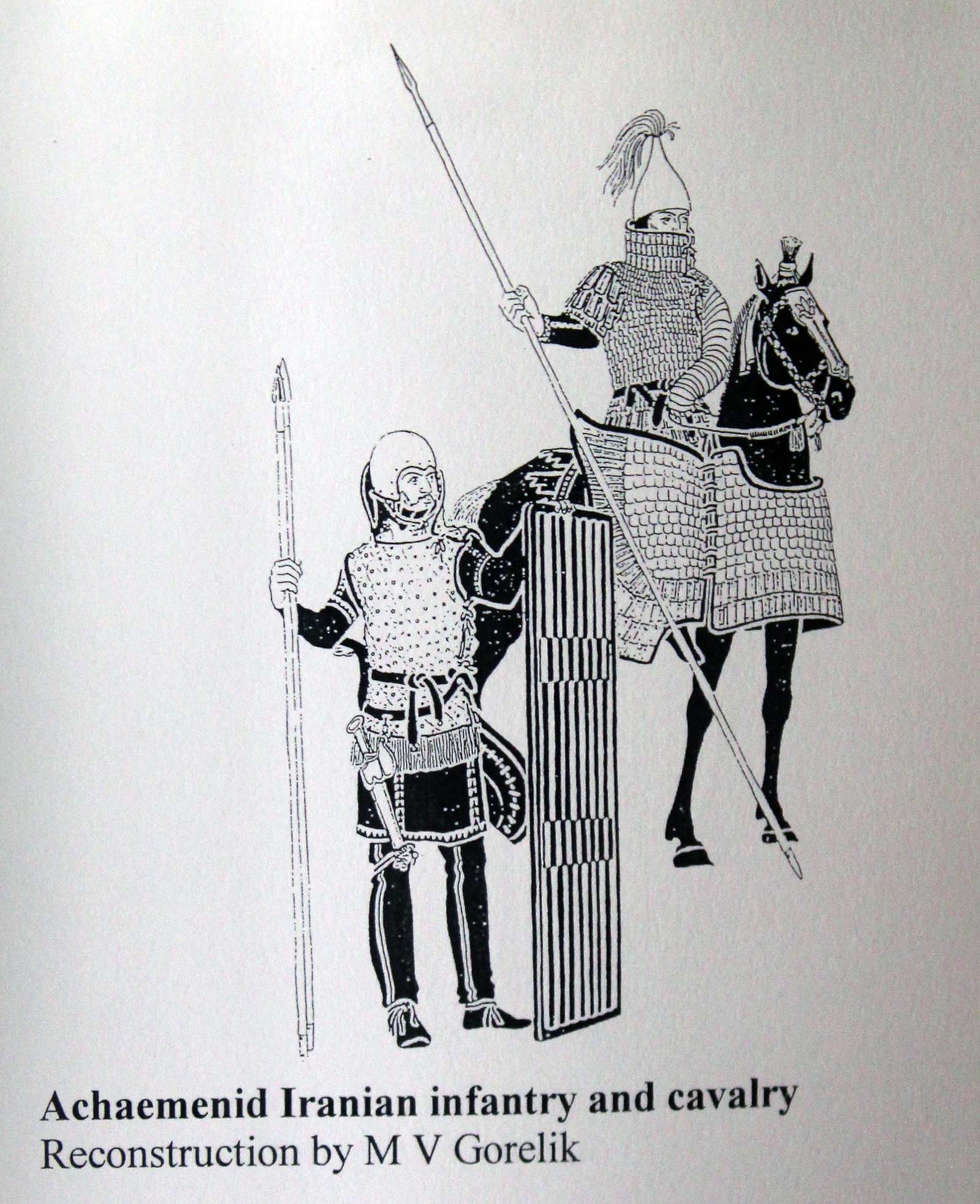 برد نشانده
