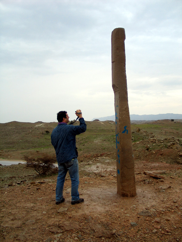 برد نشانده