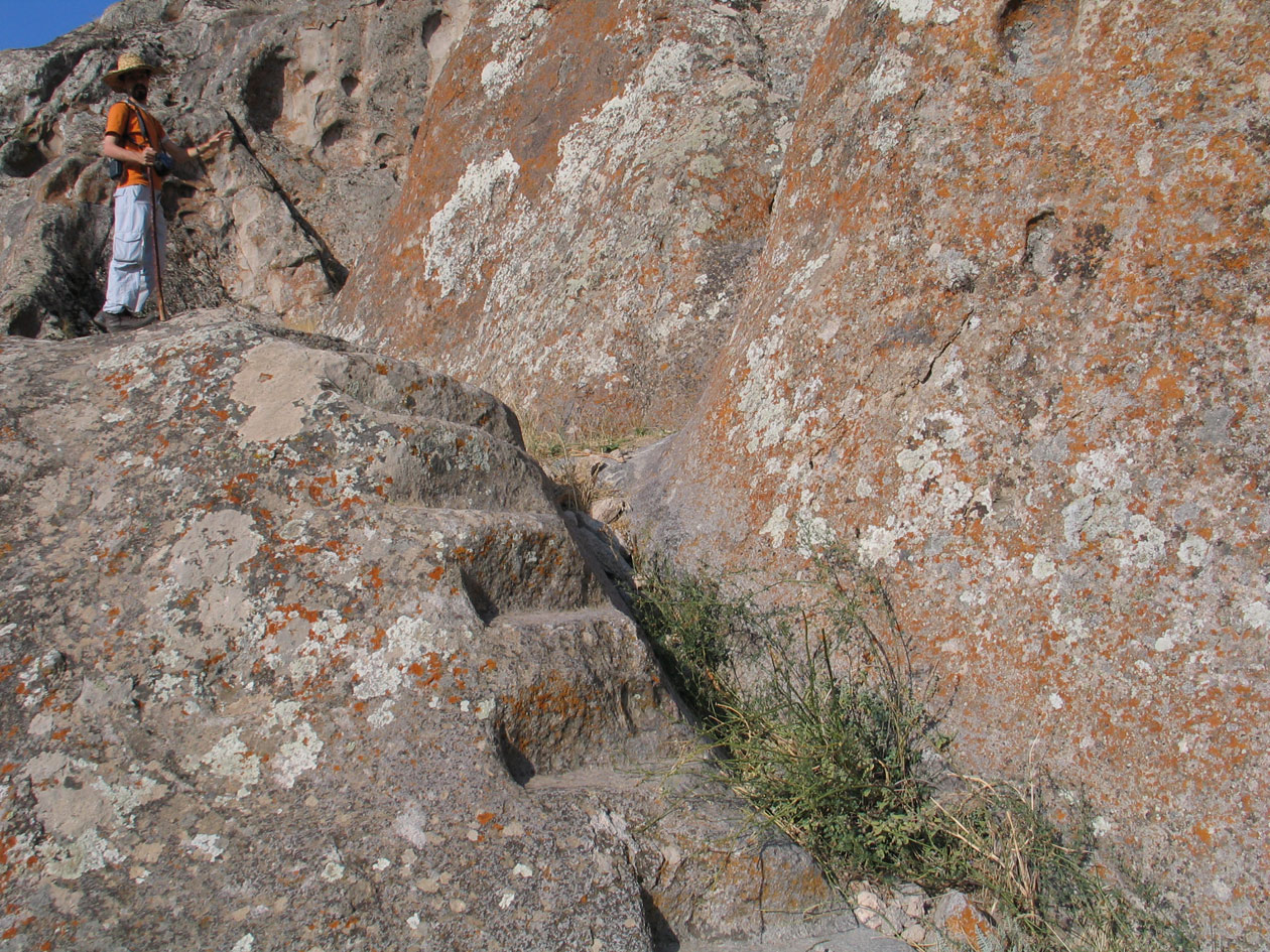 بوینی یوغون