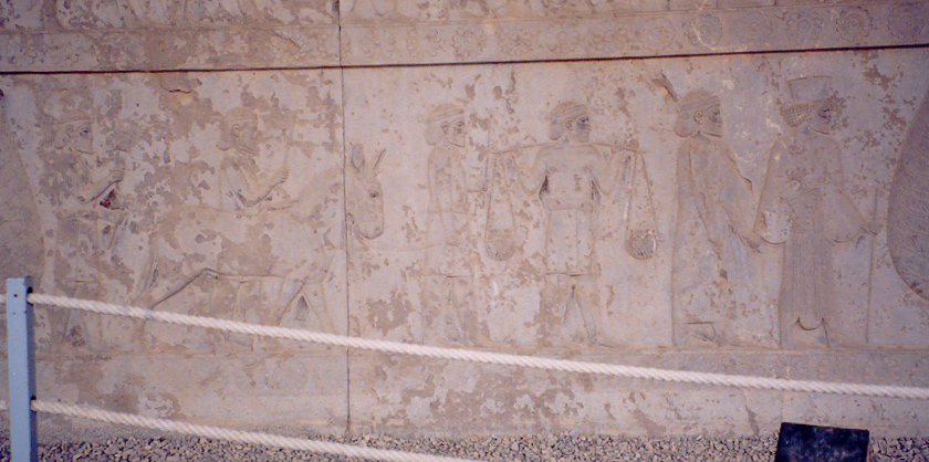  کاخ آپادانا تخت جمشید