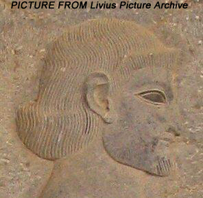  کاخ آپادانا تخت جمشید