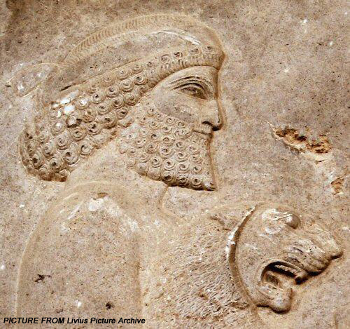  کاخ آپادانا تخت جمشید