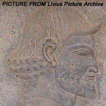  کاخ آپادانا تخت جمشید