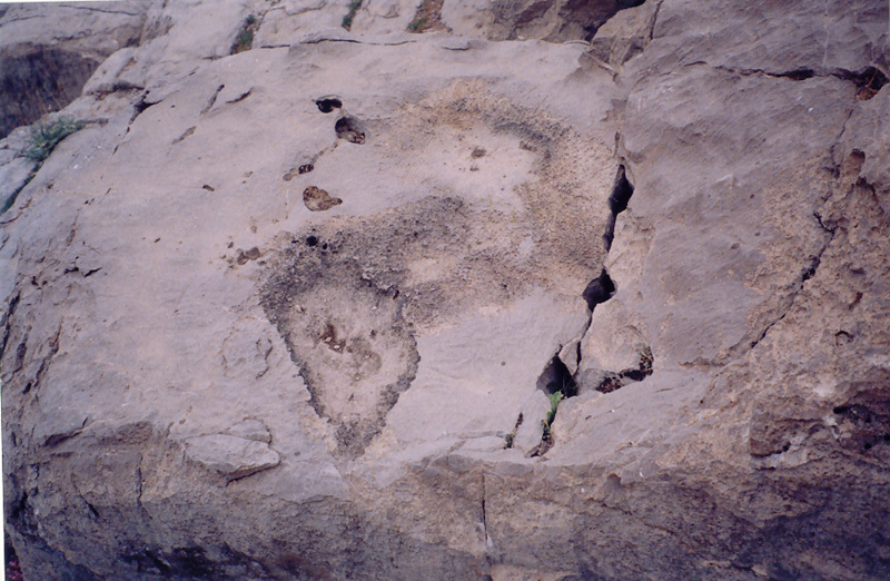  اطراف تخت جمشید