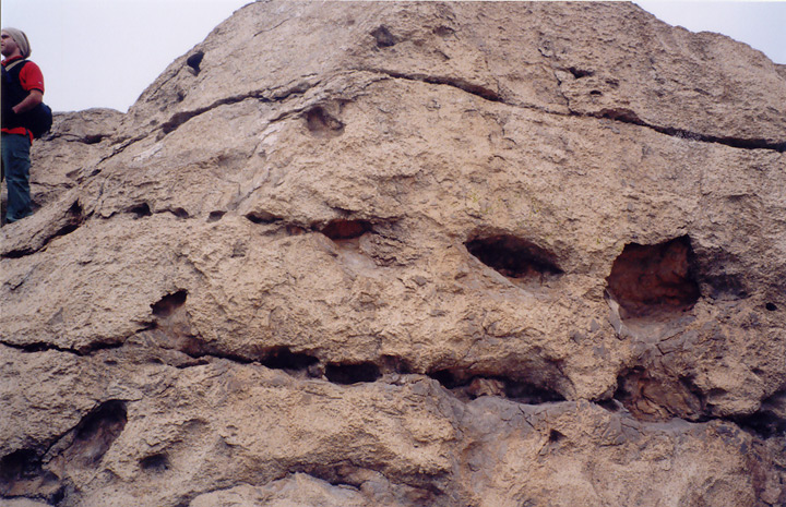  اطراف تخت جمشید