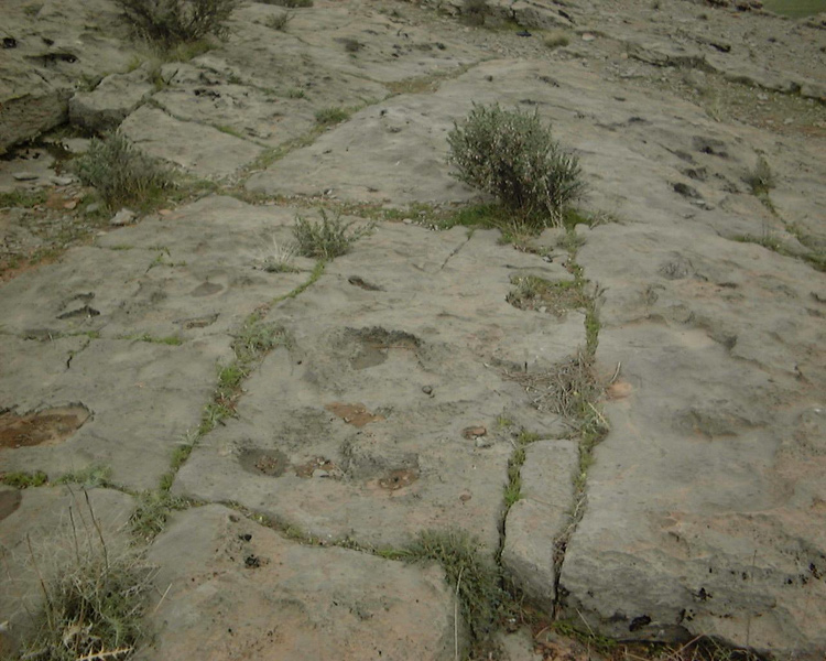  اطراف تخت جمشید