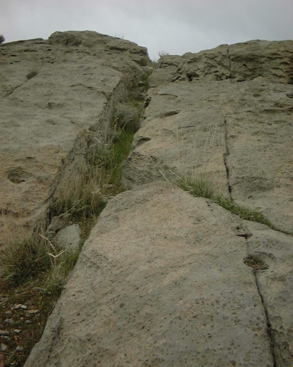  اطراف تخت جمشید