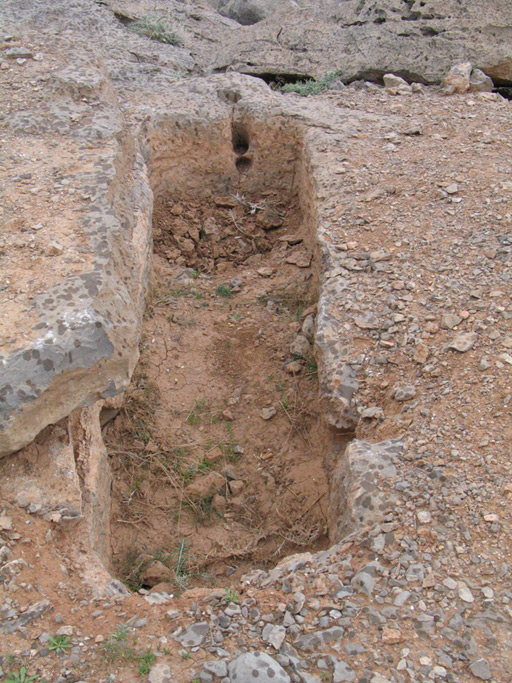  اطراف تخت جمشید