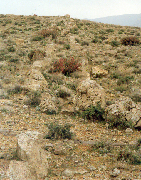 بقایای جاده در کوههای شمال تخت جمشید 