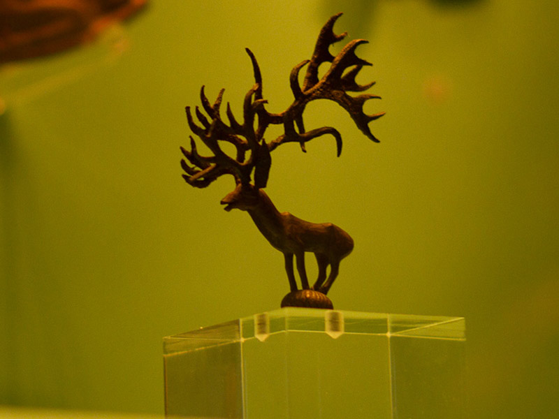 گنجینه پازیریک