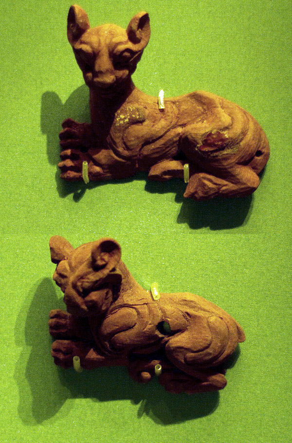 گنجینه پازیریک