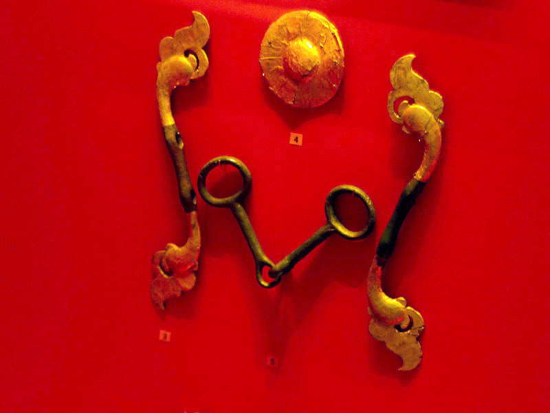 گنجینه پازیریک