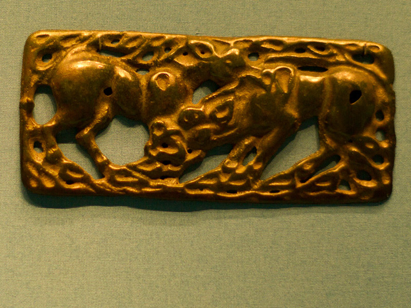 گنجینه پازیریک